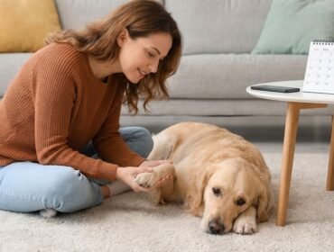 5 Subtle Signs Your Pet Might Need a Vet Visit