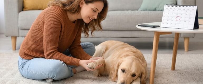 5 Subtle Signs Your Pet Might Need a Vet Visit